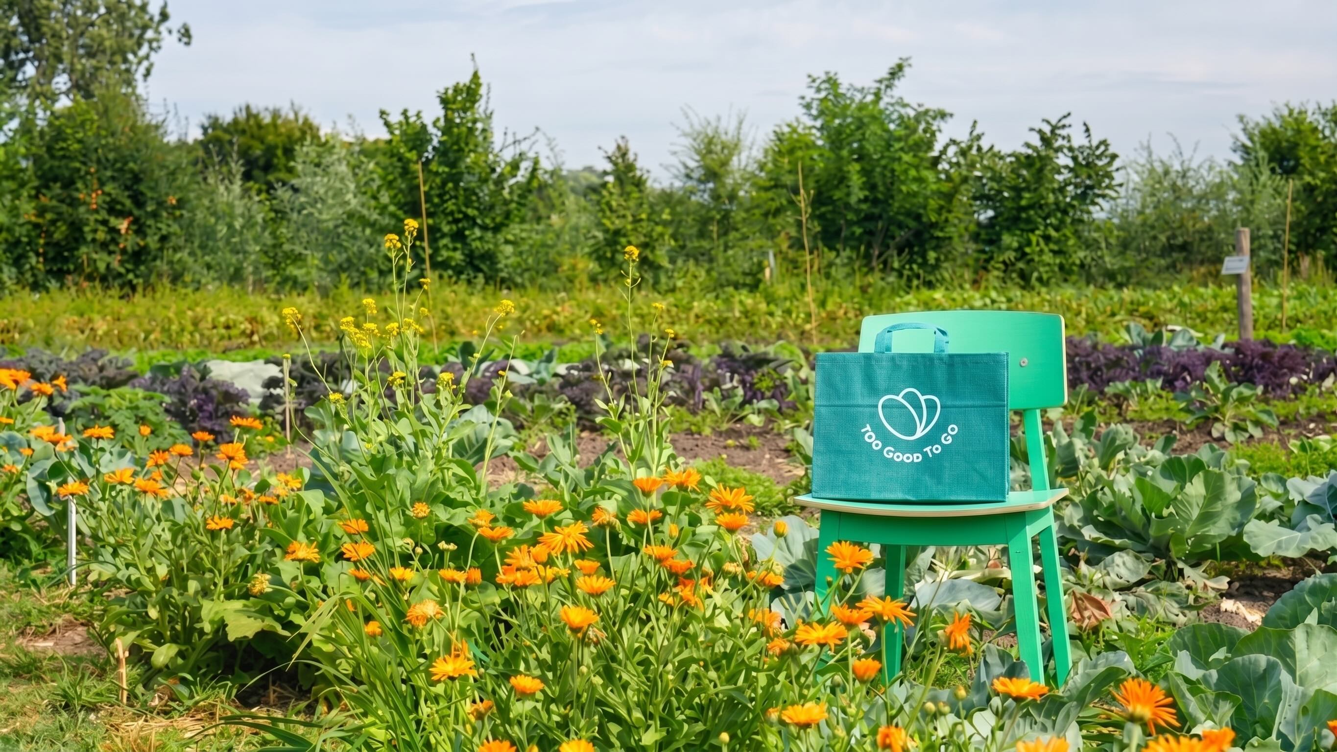 Too Good To Go et Delhaize rendent la chaîne alimentaire visible